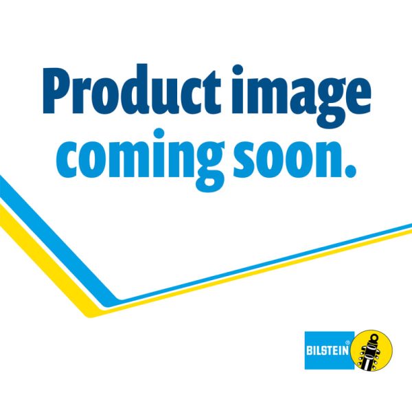 Bilstein 5100 Series 14-17 Dodge Ram 2500 13-17 Ram 3500 Front Dual Steering Damper Kit Online Hot Sale - Image 3